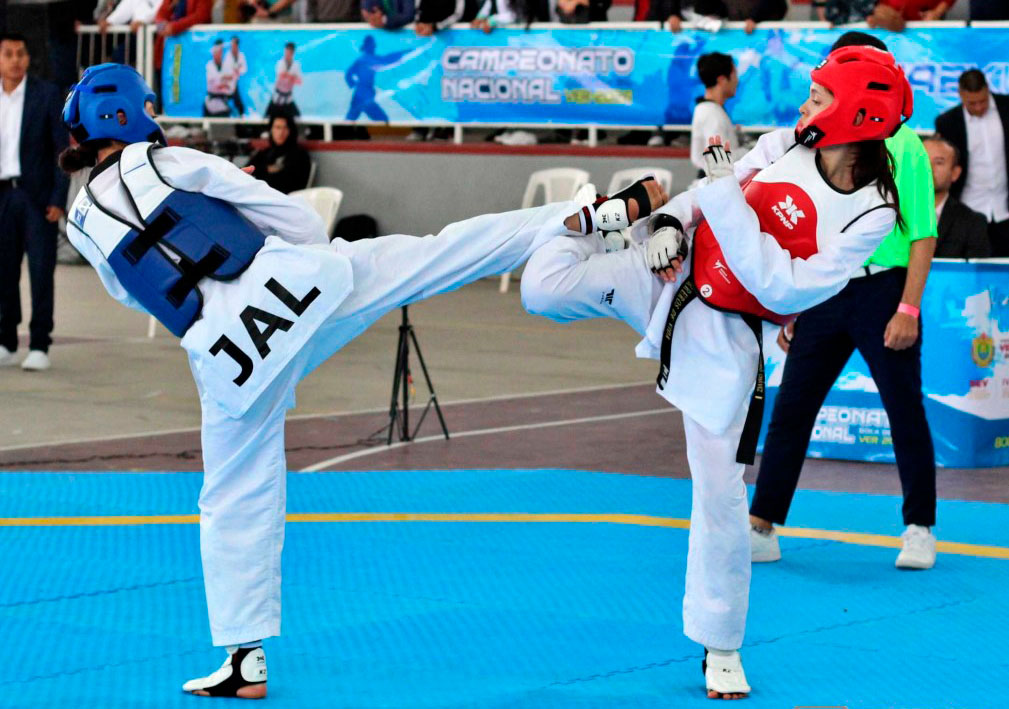 Curso Básico COCET: Fundamentos, Fisiología y Combate en Taekwondo.